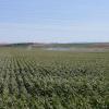 Irrigation  outrance